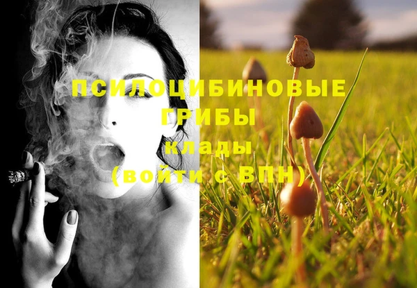 таблы Алзамай