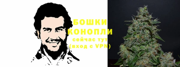 шишки Алексеевка