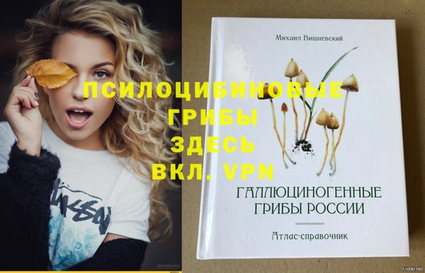бутират Алексин