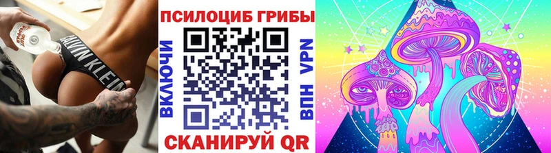 Галлюциногенные грибы Psilocybe  Кемерово 