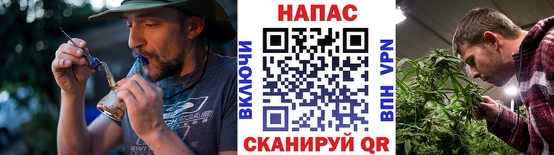 купить   Кемерово  Бошки марихуана AK-47 